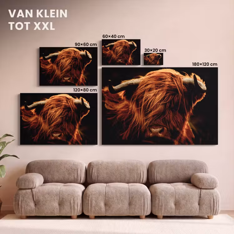 Canvas schilderij - Schotse hooglander - Koe - Hoorns - Portret - Dieren — 8