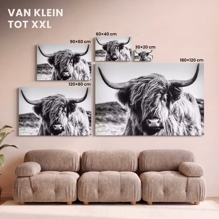 Canvas schilderij - Schotse hooglander - Close up - Horens - Vacht - Zwart Wit — 8