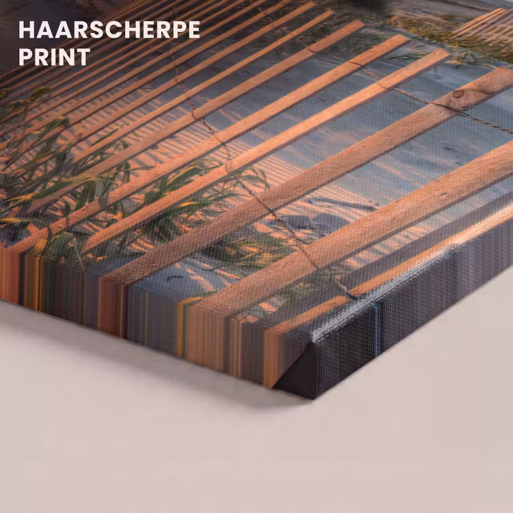 Canvas schilderij - Strand - Zee - Duin - Zonsondergang - Landschap — 5