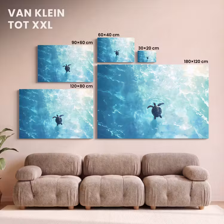 Canvas schilderij - Schildpad - Zee - Blauw - Schittering — 8
