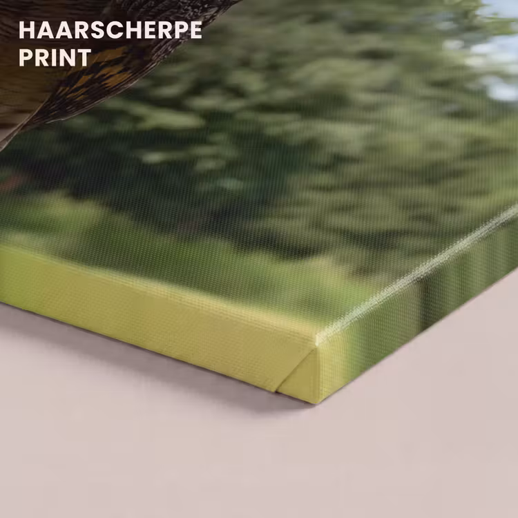 Canvas schilderij - Uil - Boomstronk - Bos - Lucht — 5