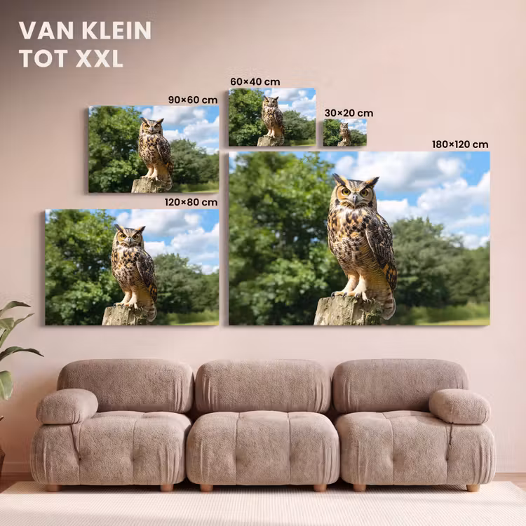 Canvas schilderij - Uil - Boomstronk - Bos - Lucht — 8