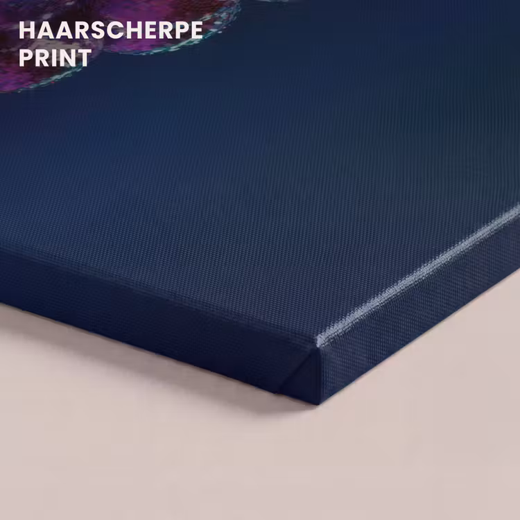 Canvas schilderij - Paars - Disco - Feest - Druif — 5