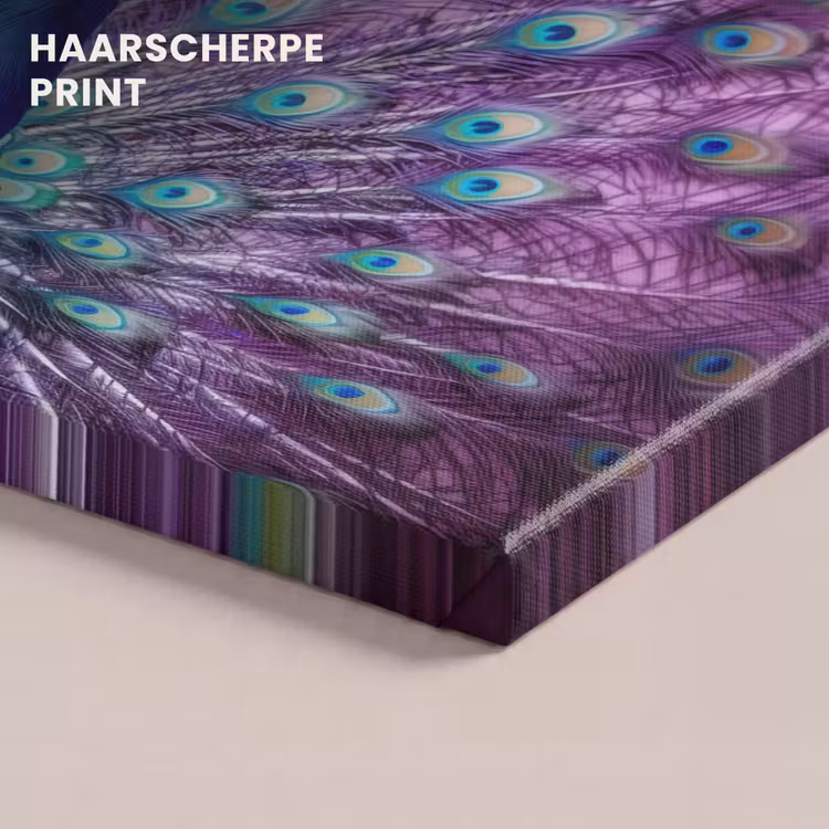 Canvas schilderij - Pauw - Koksmuts - Cool - Paars — 5