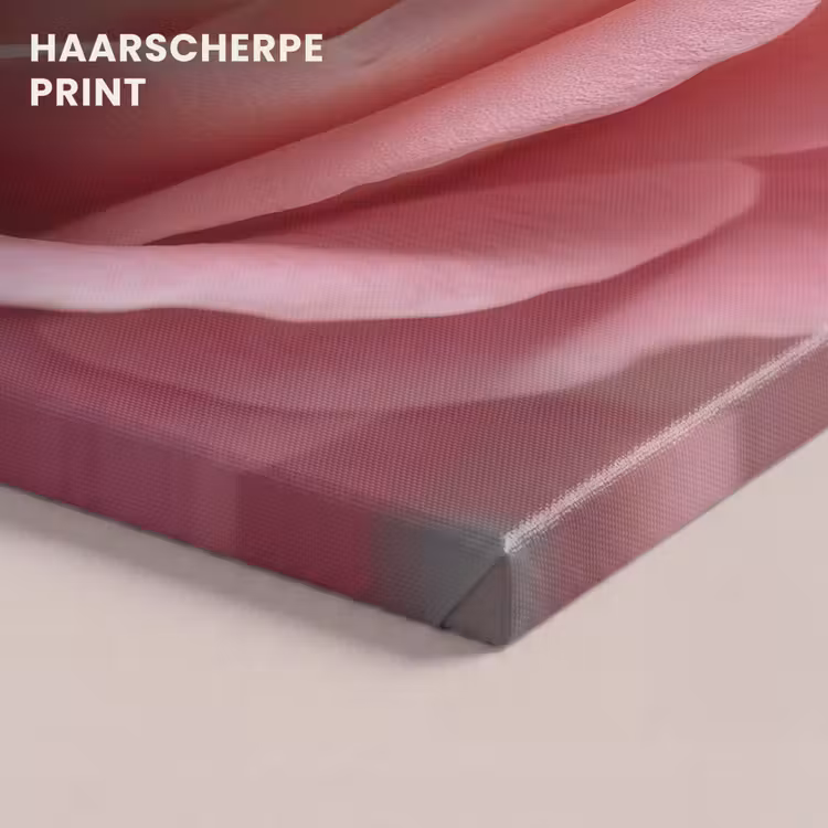 Canvas schilderij - Roze - Roos - Romantisch — 5