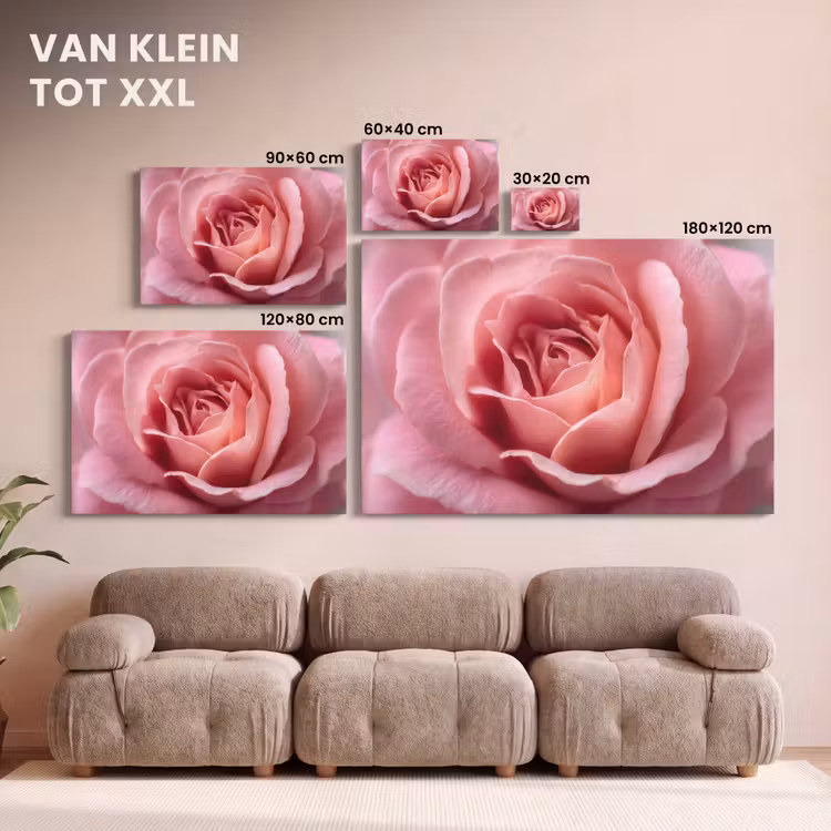 Canvas schilderij - Roze - Roos - Romantisch — 8