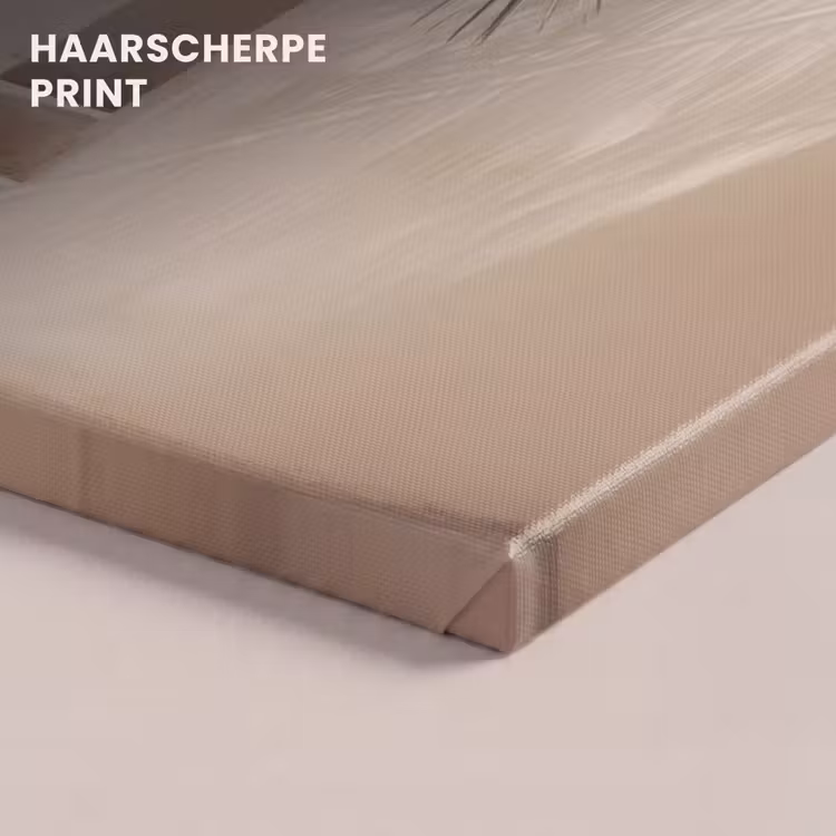Canvas schilderij - Palmboom - Schaduw - Trap - Beige — 5