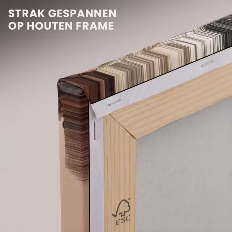 Canvas schilderij - Palmboom - Schaduw - Trap - Beige — 7