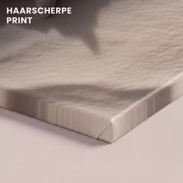 Canvas schilderij - Strand - Zeester - Zand - Beige — 5