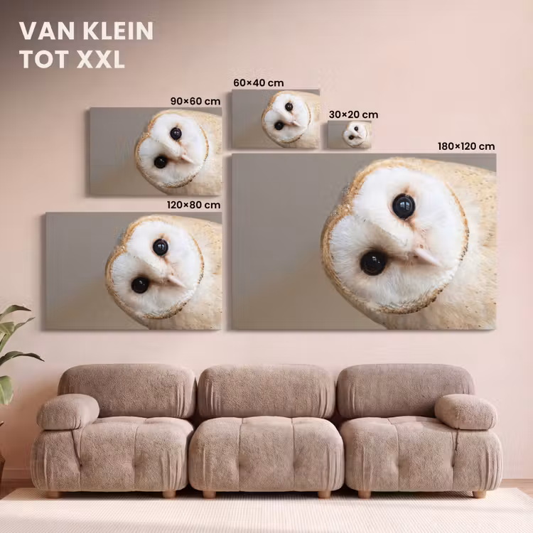 Canvas schilderij - Uil - Bruin - Wit — 8