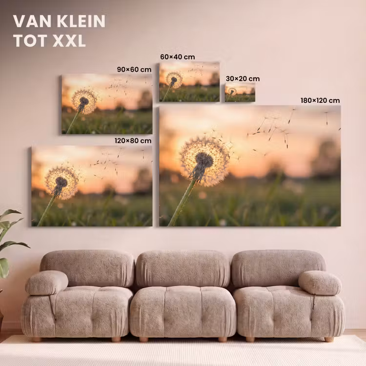 Canvas schilderij - Paardenbloem - Zonsondergang - Veld — 8