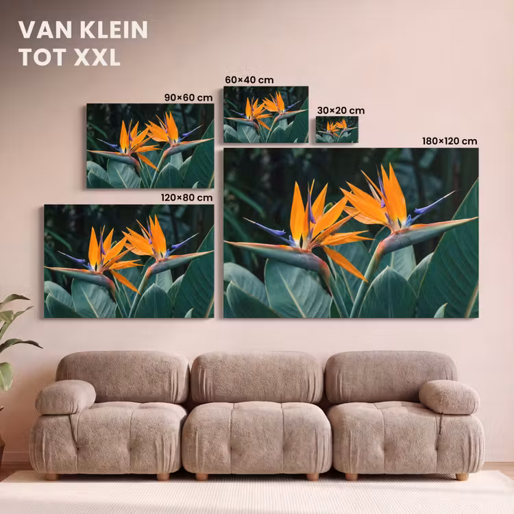 Canvas schilderij - Paradijsvogel - Bloem - Exotisch — 8