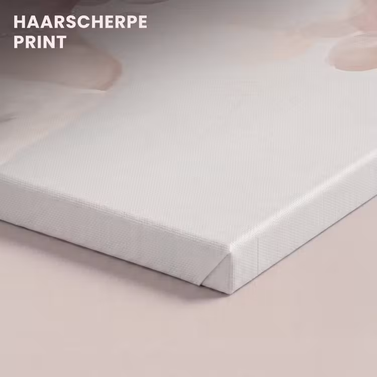 Canvas schilderij - Vrouw met Cirkels voor Gezicht Oudroze — 5