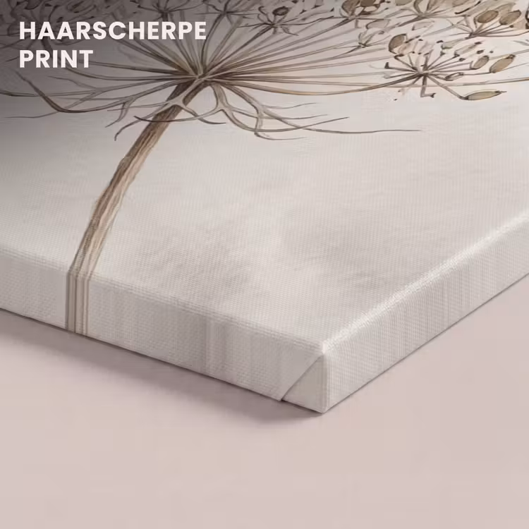 Canvas schilderij - Vlinder - Bloem -Natuur - Beige — 5