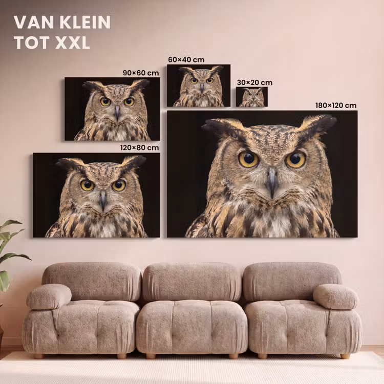 Canvas schilderij - Oehoe - Uil - Portret - Bruin — 8