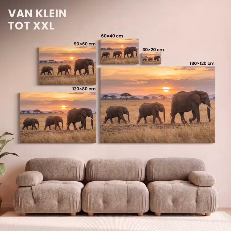 Canvas schilderij - Olifanten - Savanne - Zonsondergang - Afrika - Warm — 8