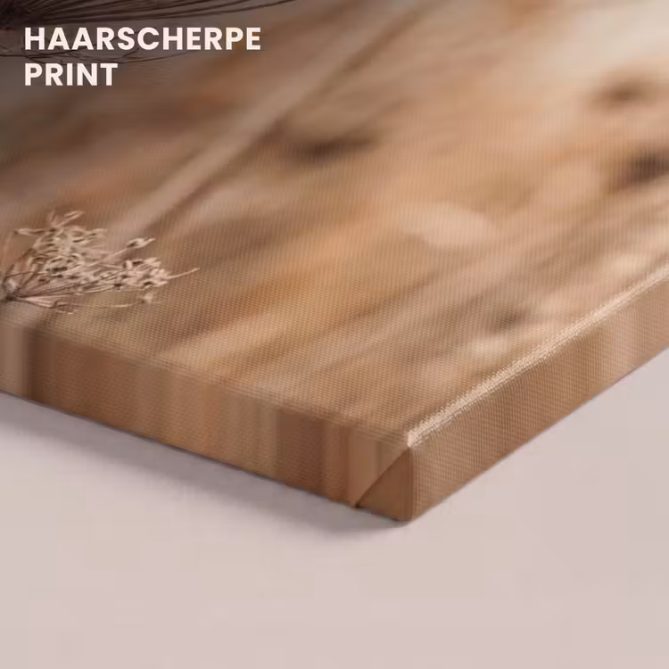 Canvas schilderij - Schermbloem - Droogbloem - Winter - Beige - Minimalistisch — 5