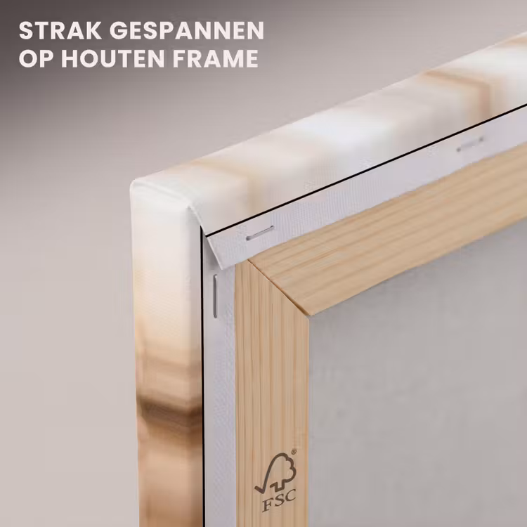 Canvas schilderij - Schermbloem - Droogbloem - Winter - Beige - Minimalistisch — 7