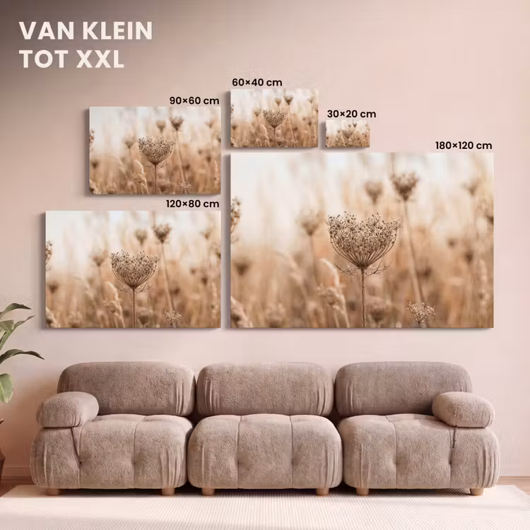Canvas schilderij - Schermbloem - Droogbloem - Winter - Beige - Minimalistisch — 8