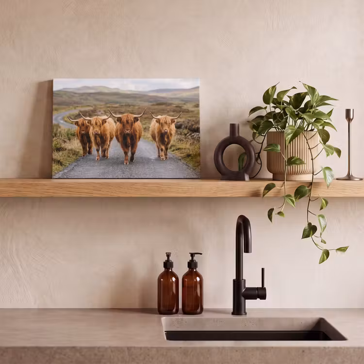 Canvas schilderij - Schotse Hooglanders - Weg - Landschap - Kudde — 4