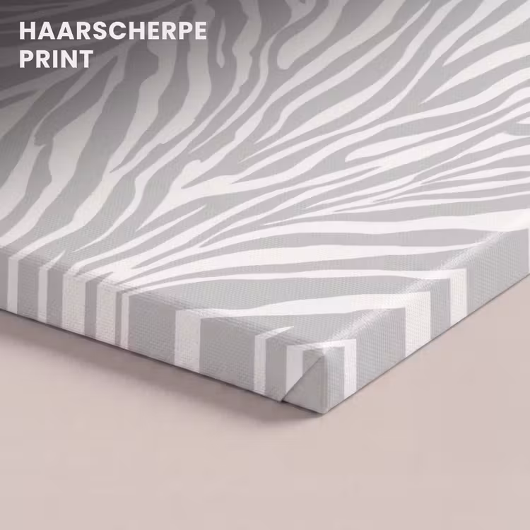 Canvas schilderij - Zebra - Motief - Grijs — 5