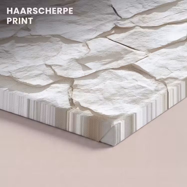 Canvas schilderij - Structuur - Rots - Wit — 5