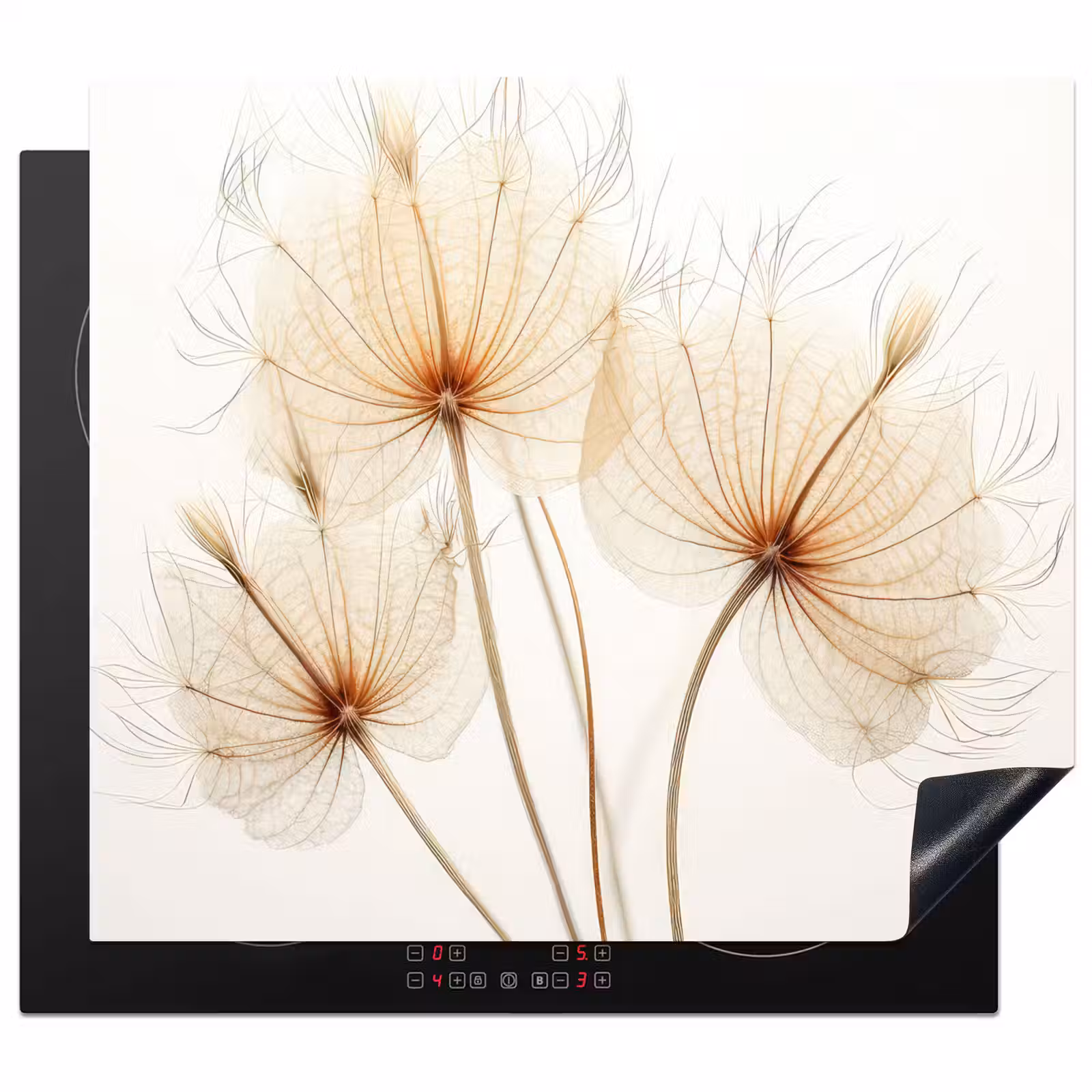 Inductie beschermer - Elegantie in Transparantie — 1