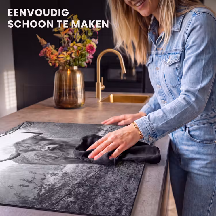 Inductie beschermer - Heerser van de Mist — 6