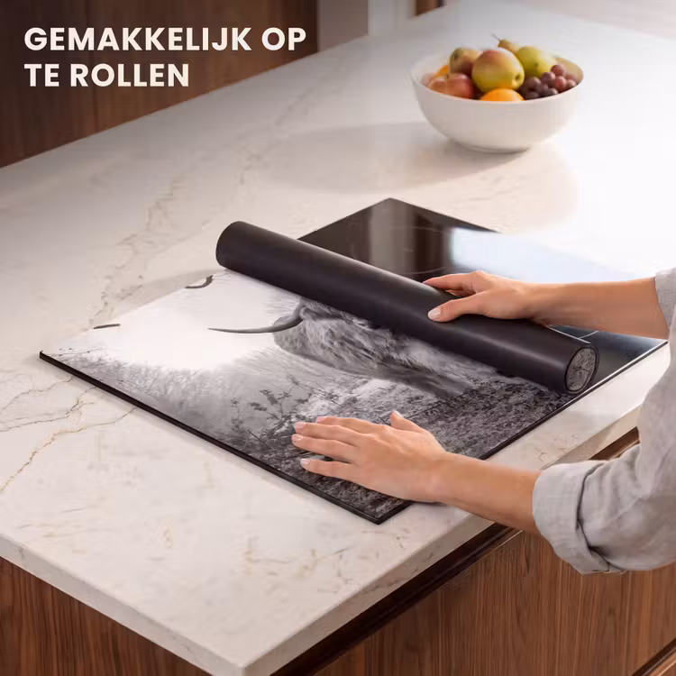 Inductie beschermer - Heerser van de Mist — 7