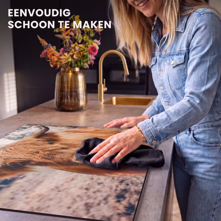 Inductie beschermer - Blik van de Rustieke Reus — 6