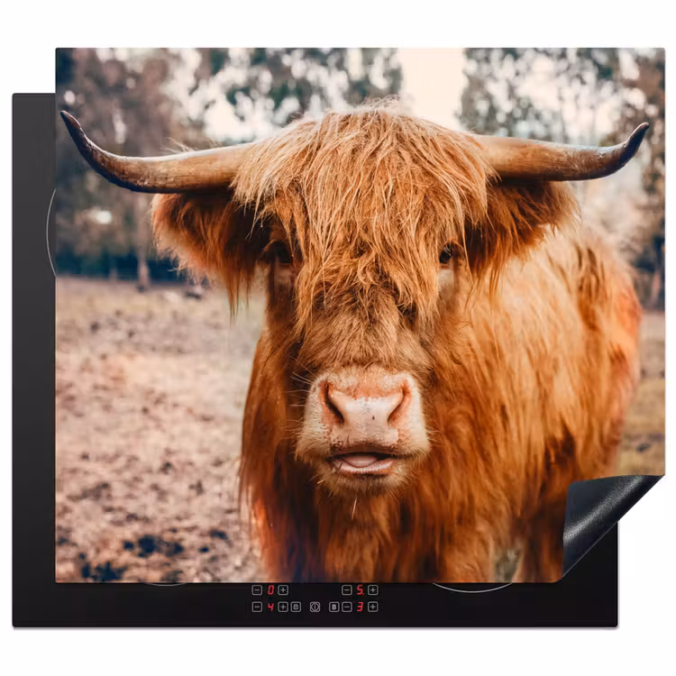 Inductie beschermer - Koe- Schotse hooglander - Hoorns - Bruin - Landschap