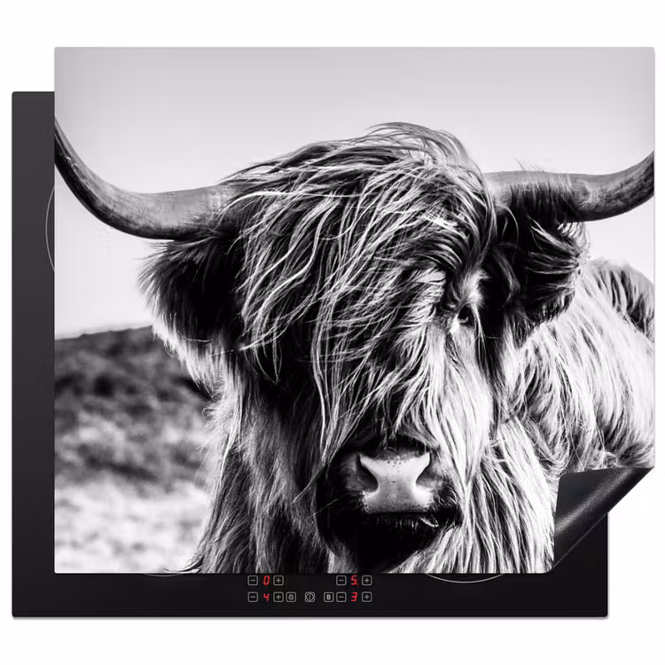 Inductie beschermer - Koe - Schotse hooglander - Zwart - Wit - Dier - Natuur - Wild