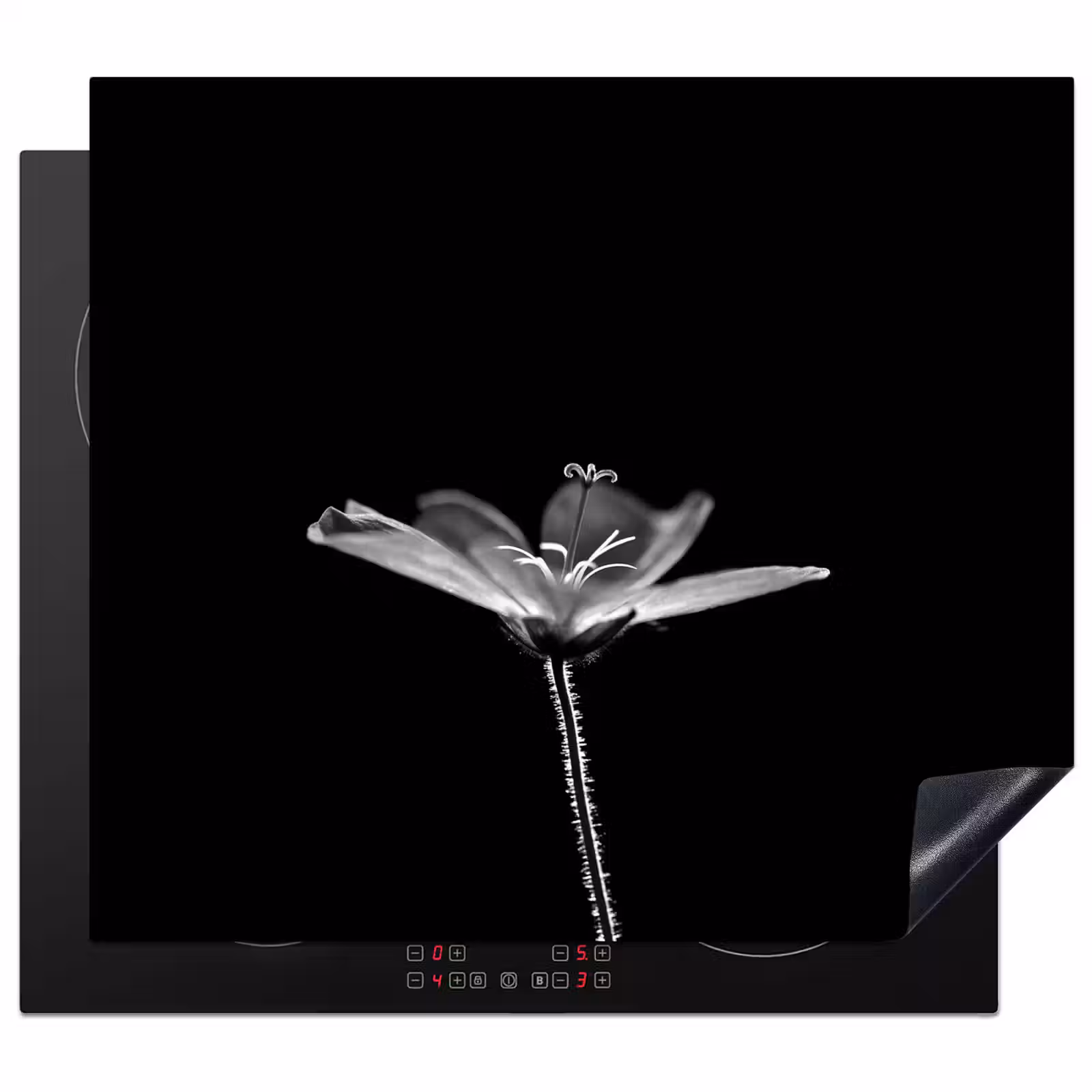 Inductie beschermer - Geranium - Zwart - Wit — 1