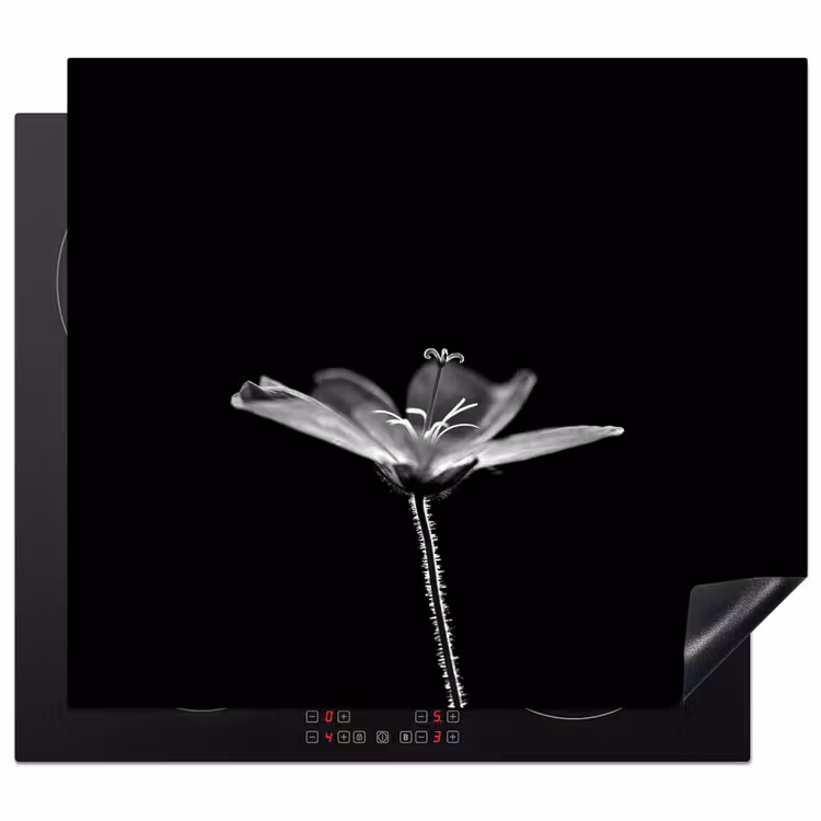 Inductie beschermer - Geranium - Zwart - Wit — 1