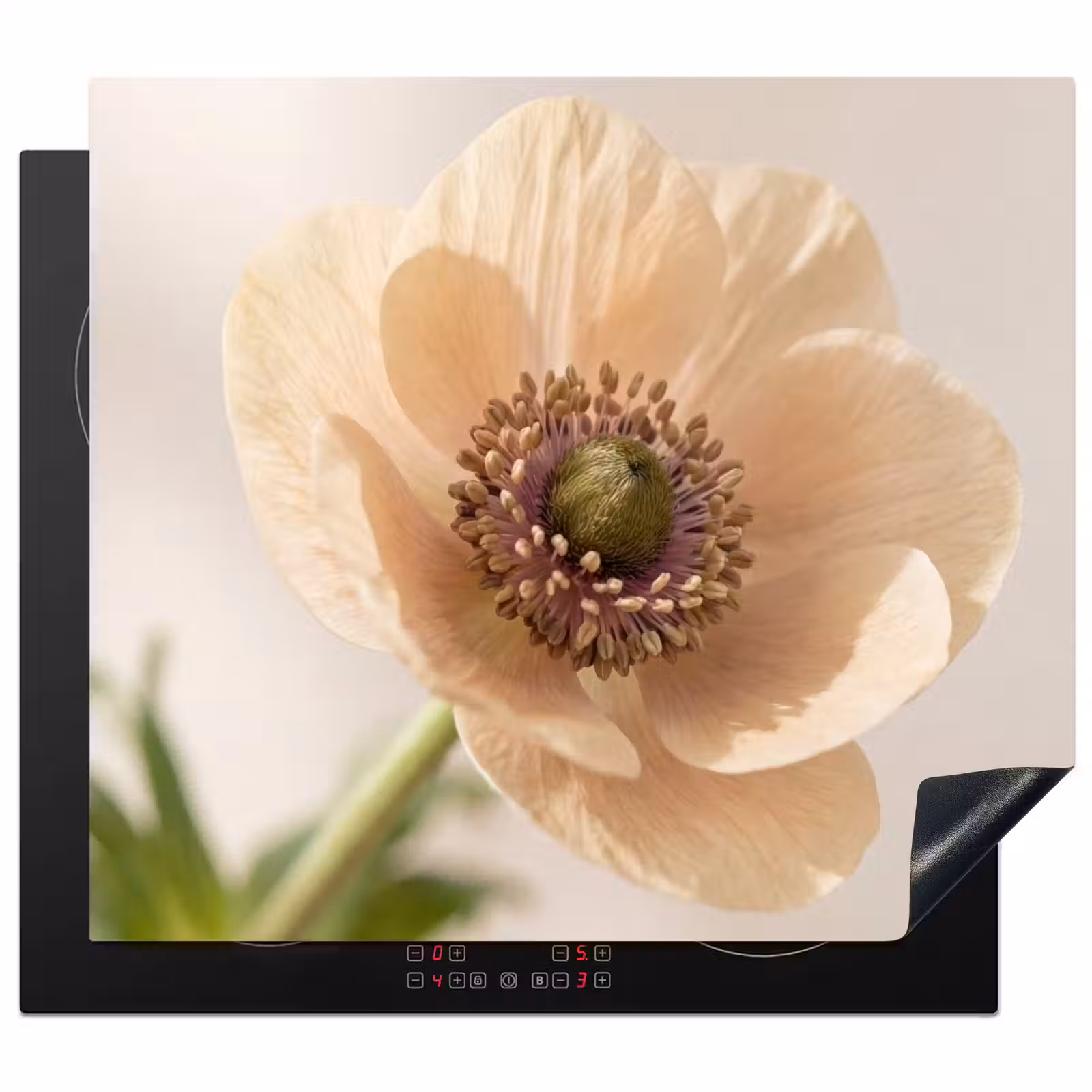Inductie beschermer - Bloem - Minimalistisch - Groen — 1