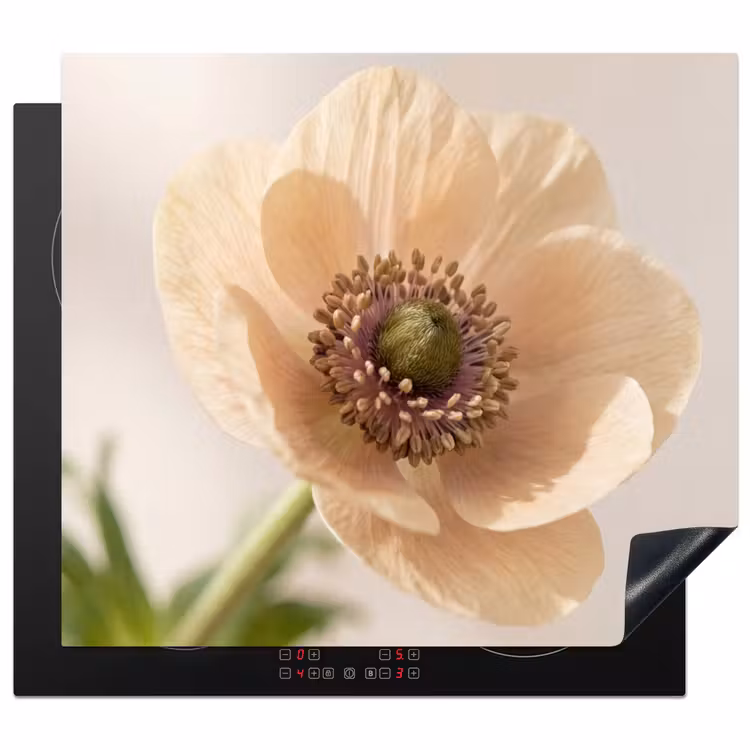 Inductie beschermer - Bloem - Minimalistisch - Groen