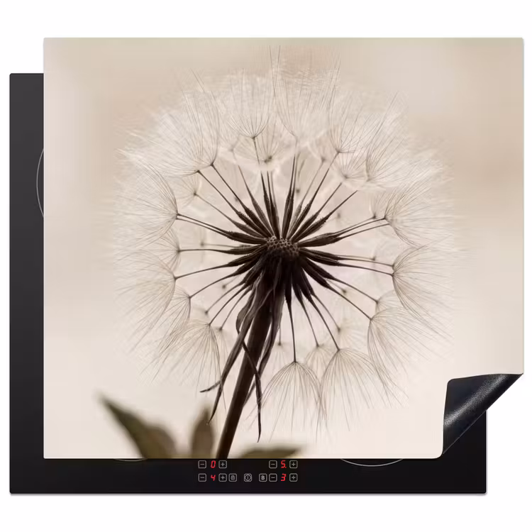 Inductie beschermer - Paardenbloem - Minimalistisch - Wit — 1