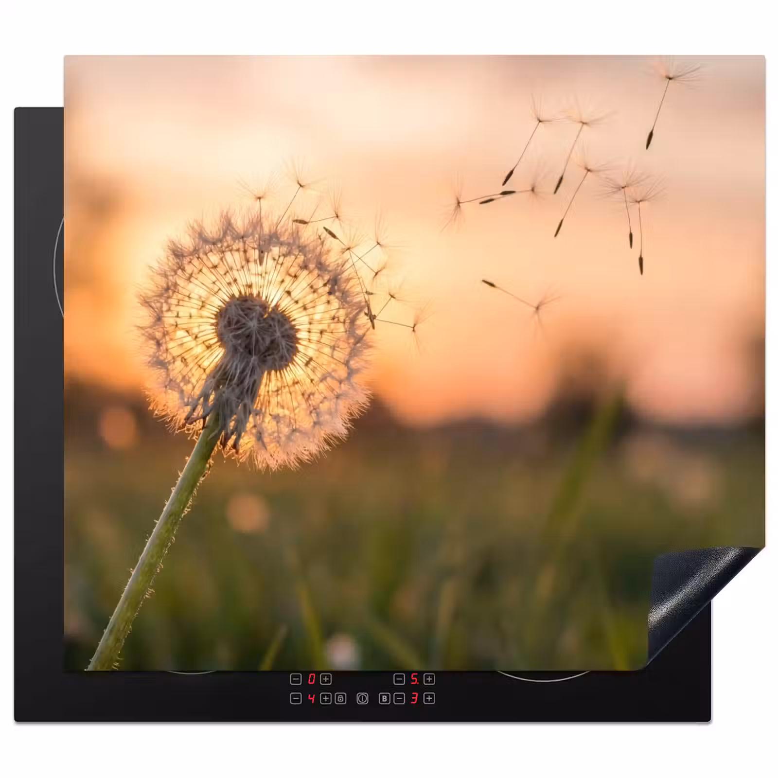Inductie beschermer - Paardenbloem - Zonsondergang - Veld — 1