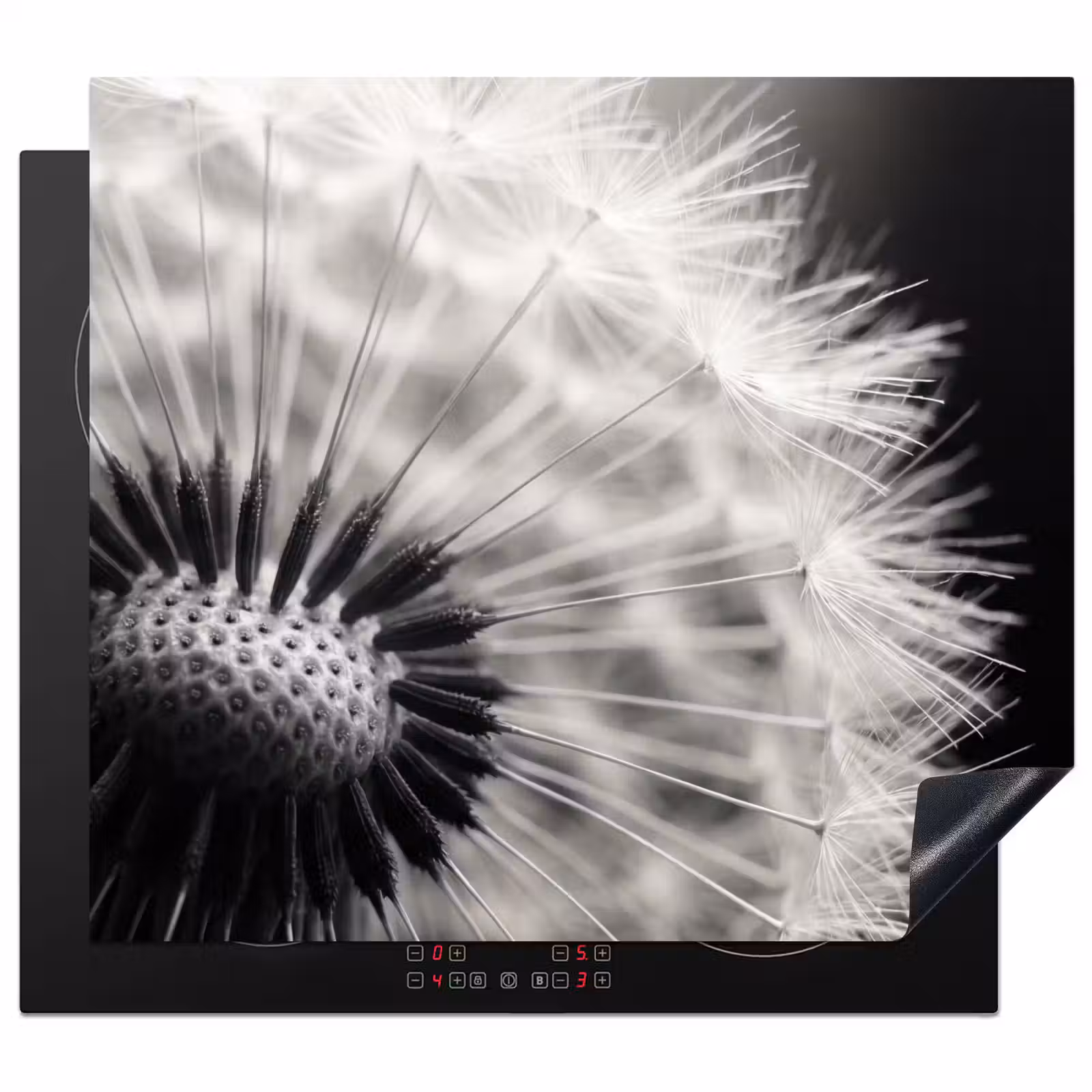 Inductie beschermer - Paardenbloem - Zwart - Wit — 1