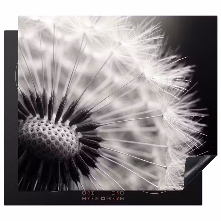 Inductie beschermer - Paardenbloem - Zwart - Wit
