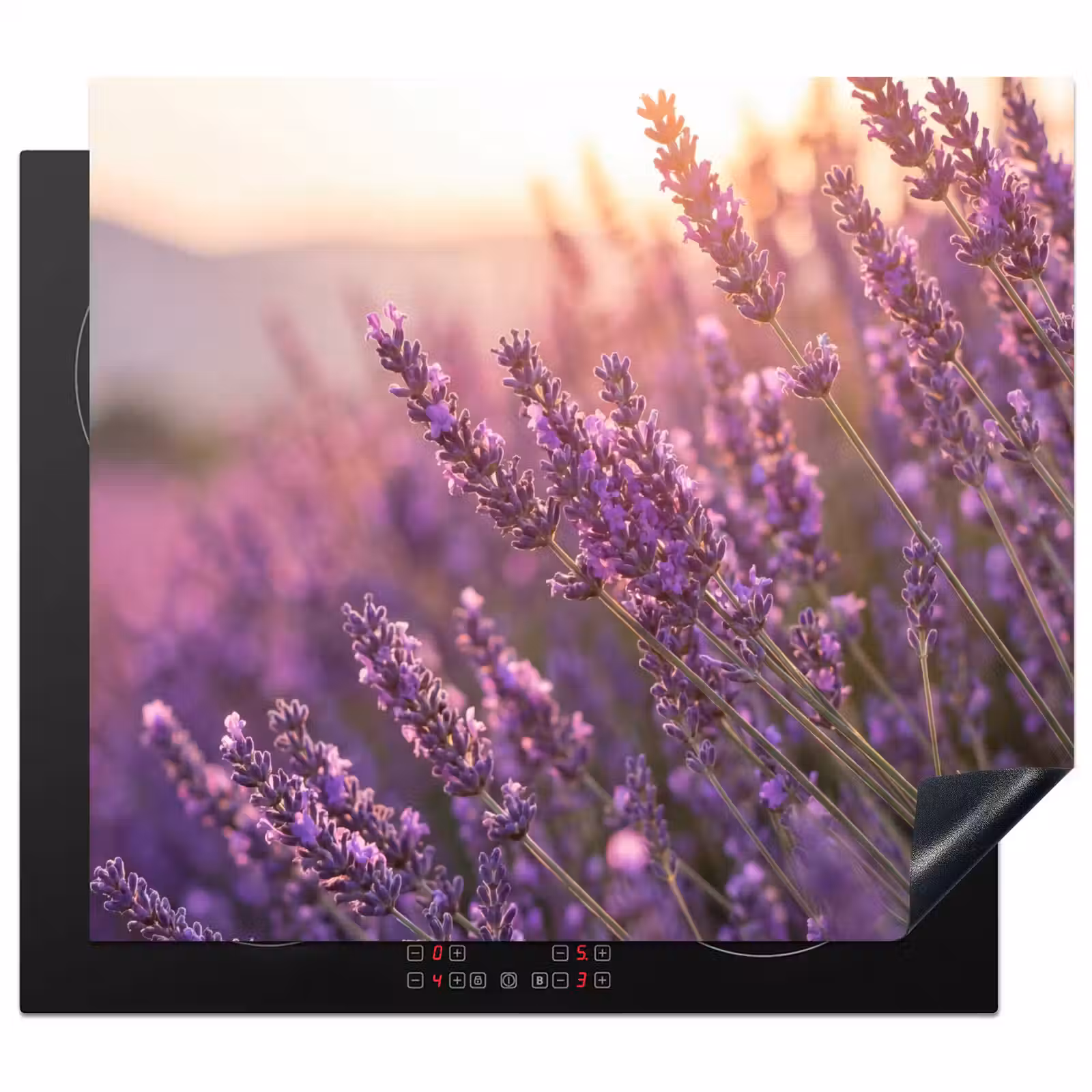 Inductie beschermer - Lavendel - Paars - Zonlicht — 1