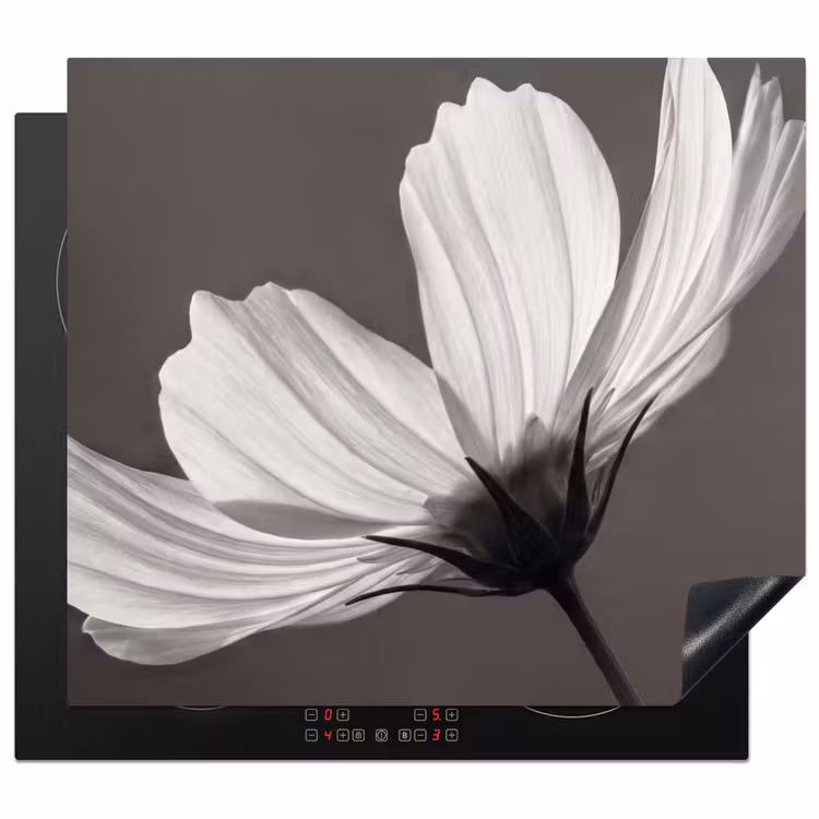 Inductie beschermer - Bloem - Minimalistisch - Zwart - Wit