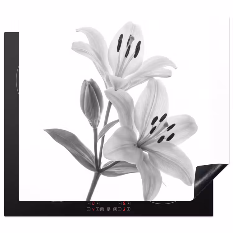 Inductie beschermer - Lelies - Elegant - Zwart - Wit