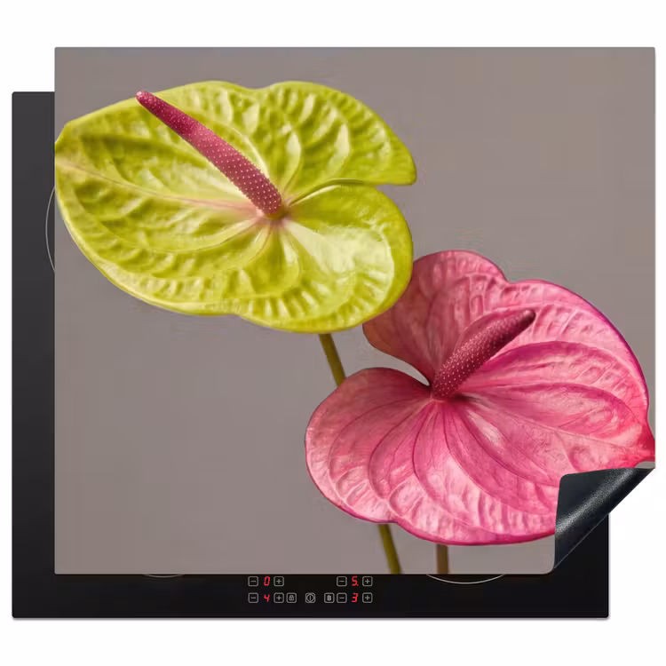Inductie beschermer - Planten - Anthurium - Groen - Roze