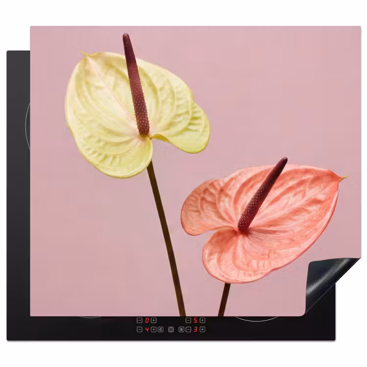 Inductie beschermer - Bloemen - Anthuriums - Geel - Roze