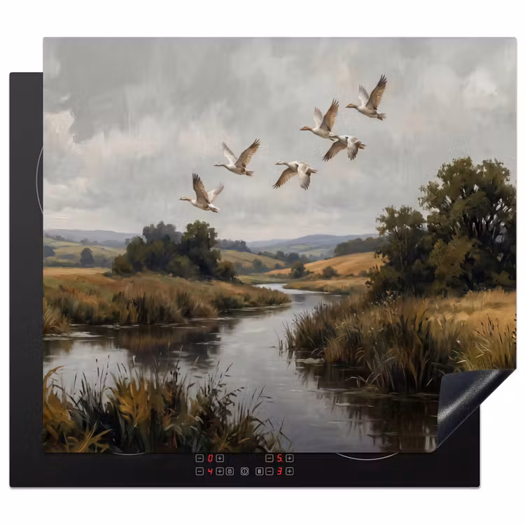 Inductie beschermer - Eenden - Rivier - Landschap - Vlucht - Nostalgisch