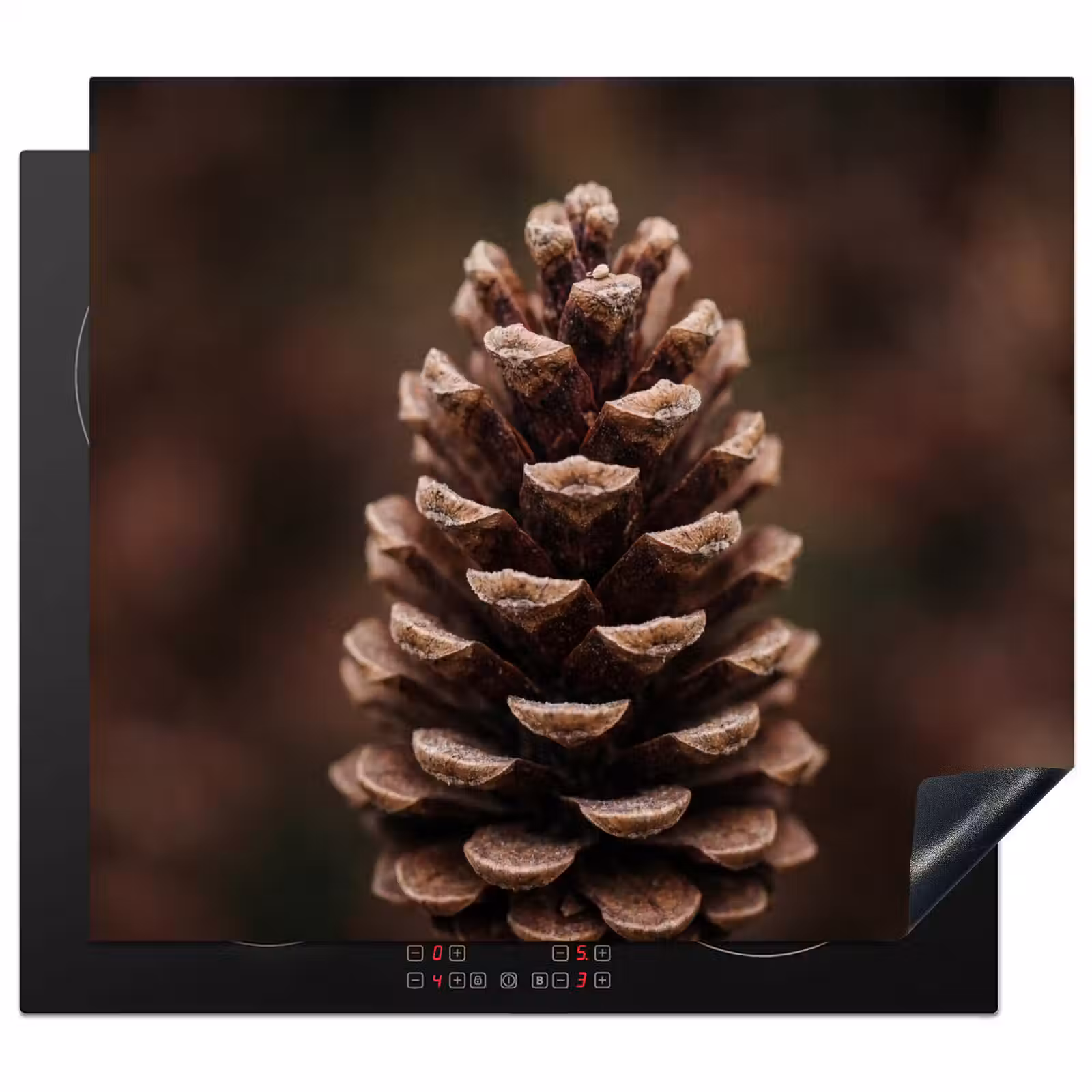 Inductie beschermer - Dennenappel - Bos - Herfst - Bruin - Sfeervol — 1