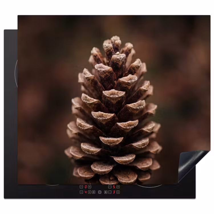 Inductie beschermer - Dennenappel - Bos - Herfst - Bruin - Sfeervol