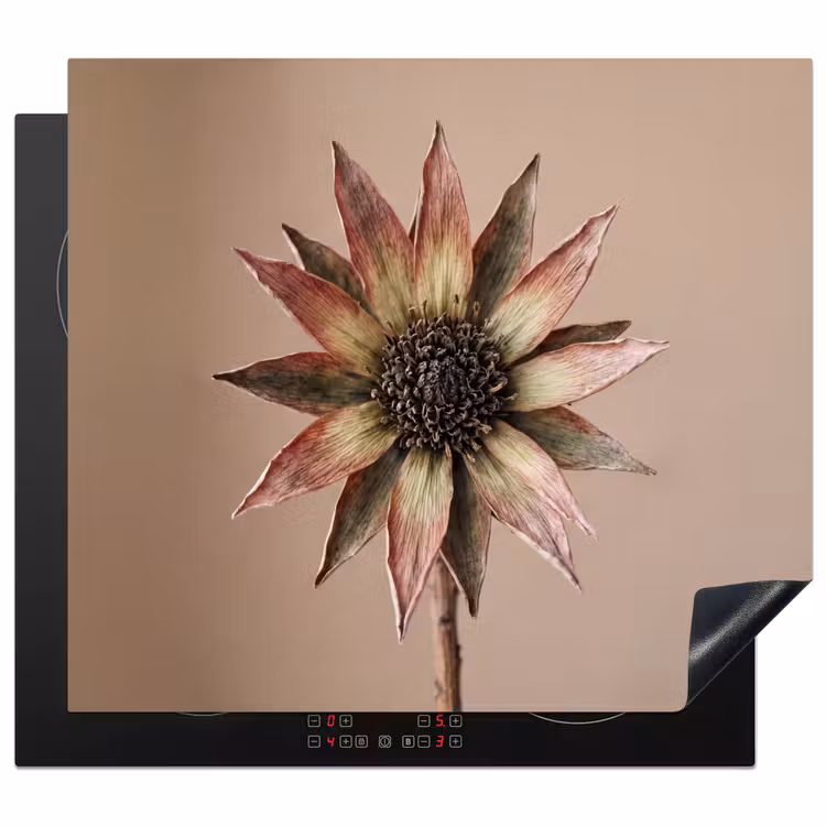 Inductie beschermer - Droogbloem - Protea - Vintage - Beige - Rustiek