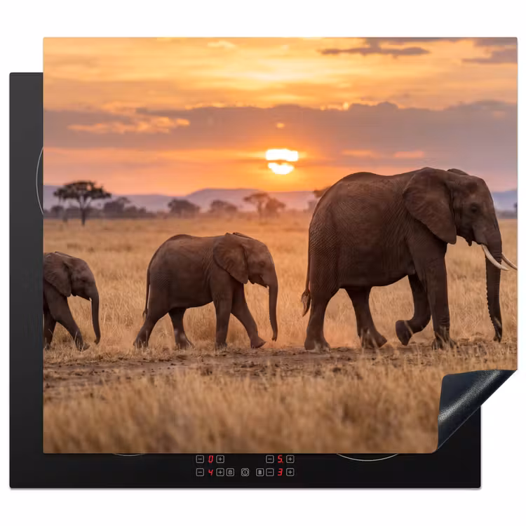 Inductie beschermer - Olifanten - Savanne - Zonsondergang - Afrika - Warm